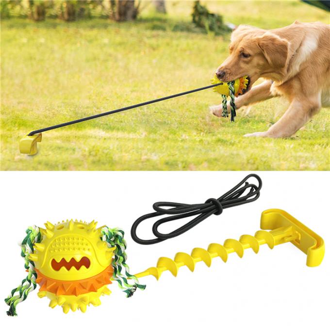 うまく設計されたペットおもちゃ保持器ロープ犬歯のクリーニングの球が付いている球をかみ砕いている屋外水犬