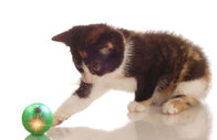 ABS Material Cute Cat Toys Sound And Light Ball Three Type Sounds ROHS/CE Approved