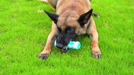 New Design Bone Shape Dog Double Serrated Grinding Rod Teeth Clean Chew And Dog Chew Treat